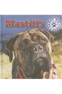 Mastiffs