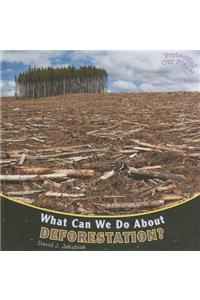 What Can We Do about Deforestation?