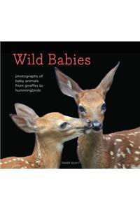 Wild Babies