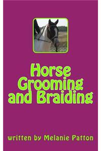 Horse Grooming and Braiding