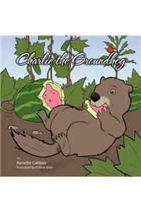 Charlie the Groundhog