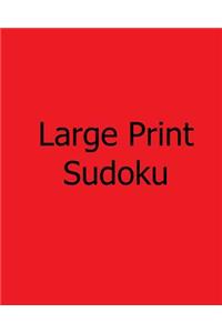 Large Print Sudoku: Fun, Large Grid Sudoku Puzzles