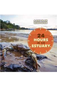 24 Hours in an Estuary