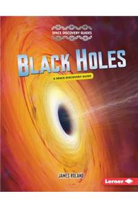 Black Holes