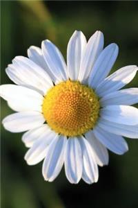 Simple White Daisy Journal