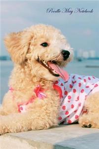 Poodle May Notebook Poodle Record, Log, Diary, Special Memories, To Do List, Academic Notepad, Scrapbook & More