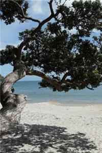 Beach on Waiheke Island New Zealand Journal