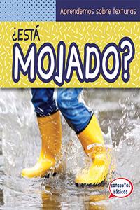 ¿Está Mojado? (What Is Wet?)