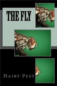 The Fly