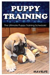 Puppy Training