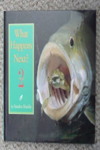 What Happens Next?