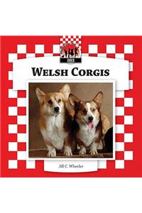 Welsh Corgis