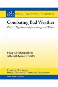 Combating Bad Weather Part II