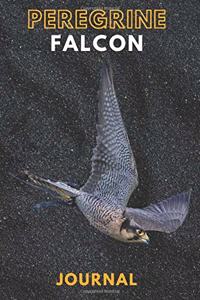 Peregrine falcon journal &Notebook 6