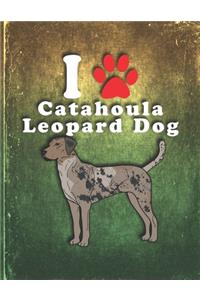 Catahoula Leopard Dog