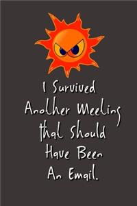 I Survived Another Meeting That Should Have Been An Email.