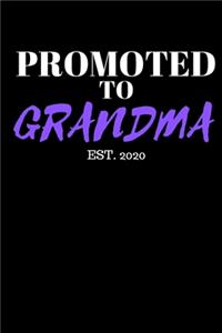 Promoted to Grandma - Grandma Journal