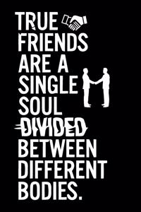 True Friends Are A Single Soul Divided Between Different Bodies