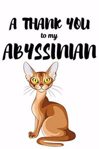 A Thank You To My Abyssian