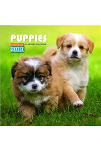 Puppies Calendar 2019