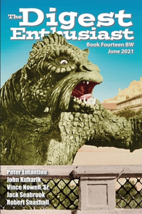 The Digest Enthusiast #14BW