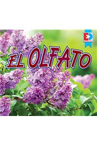 El Olfato