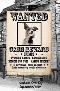 Australian Cattle Dog Dog Wanted Poster