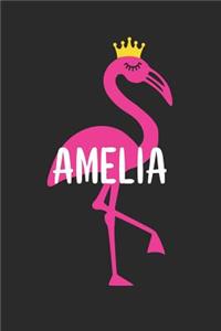 Amelia's Notebook