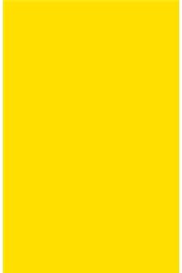 Notizbuch Gelb