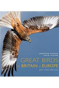 Great Birds of Europe