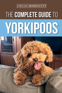 Complete Guide to Yorkipoos