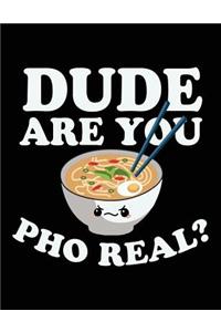 Dude Are You Pho Real?
