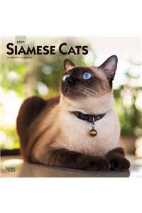 Siamese Cats 2021 Square