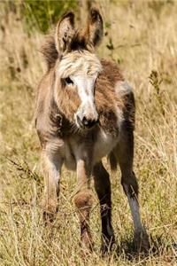 Hello, Little Donkey Journal