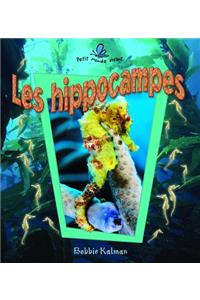 Les Hippocampes