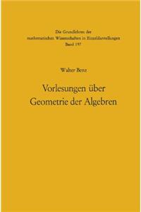 Vorlesungen Uber Geometrie Der Algebren