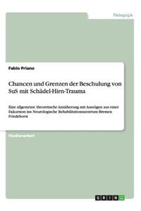 Chancen und Grenzen der Beschulung von SuS mit Schädel-Hirn-Trauma