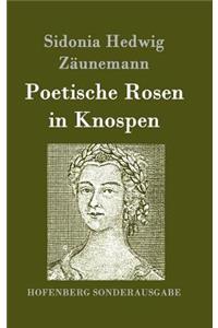 Poetische Rosen in Knospen