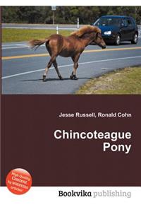 Chincoteague Pony