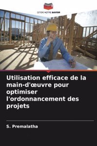 Utilisation efficace de la main-d'oeuvre pour optimiser l'ordonnancement des projets