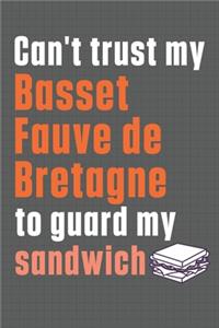 Can't trust my Basset Fauve de Bretagne to guard my sandwich