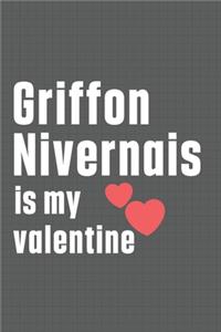 Griffon Nivernais is my valentine