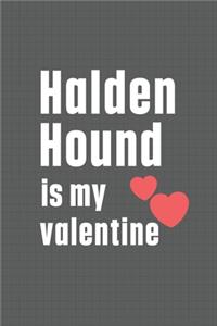 Halden Hound is my valentine