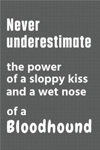 Never underestimate the power of a sloppy kiss and a wet nose of a Bloodhound