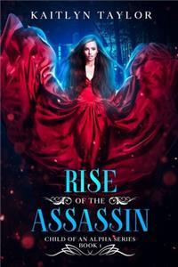 Rise of the Assassin