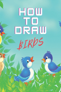How to Draw Birds