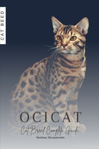 Ocicat