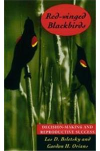 Red-winged Blackbirds