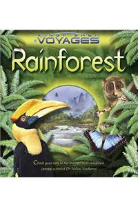Rainforest