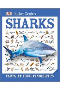 Pocket Genius: Sharks